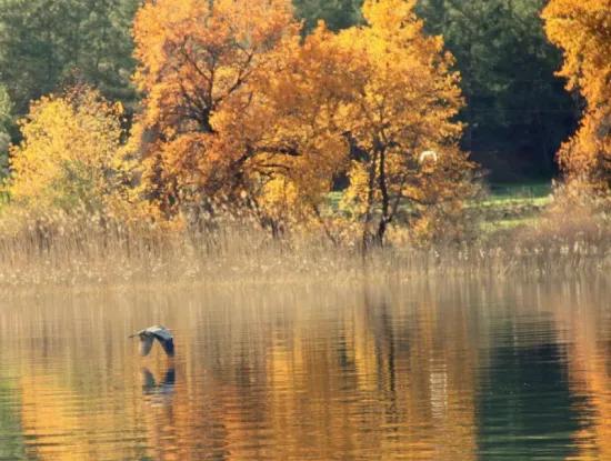 How To Get To Dalyan?