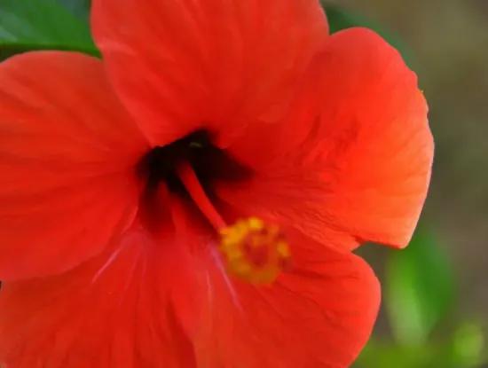 Ottoman Retreat Photos