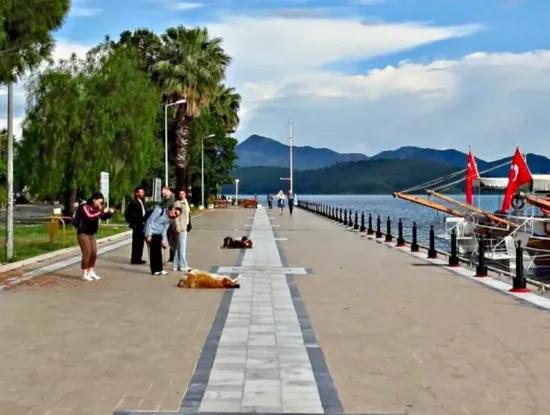 Köyceğiz Fotoğrafları