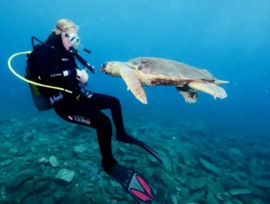 Dalyan'a Nasıl Gidilir?